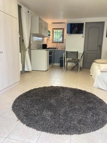 Studio Pied Dans L Eau La Londe-les-Maures Dış mekan fotoğraf